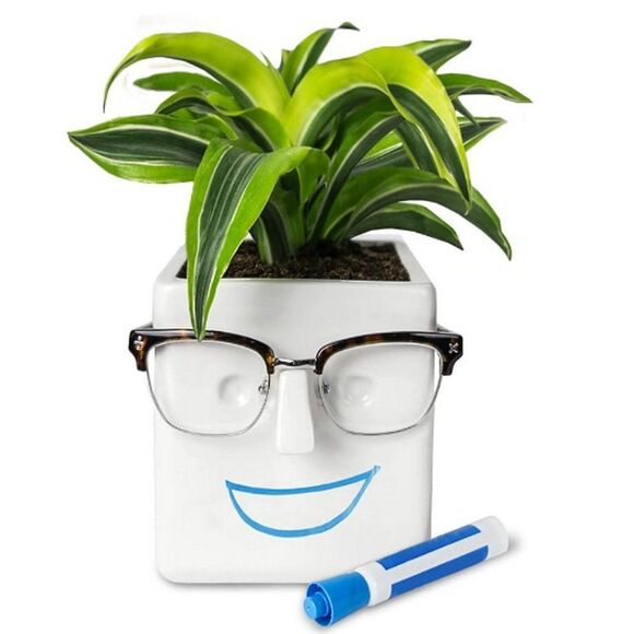 NEW Plant Flower Pot Novelty Face Planter Personality Ceramic Holder Home Decor - Picture 1 of 9